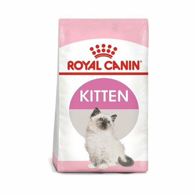 kitten royal canin