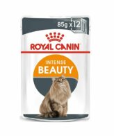royal canin cat jelly pouch