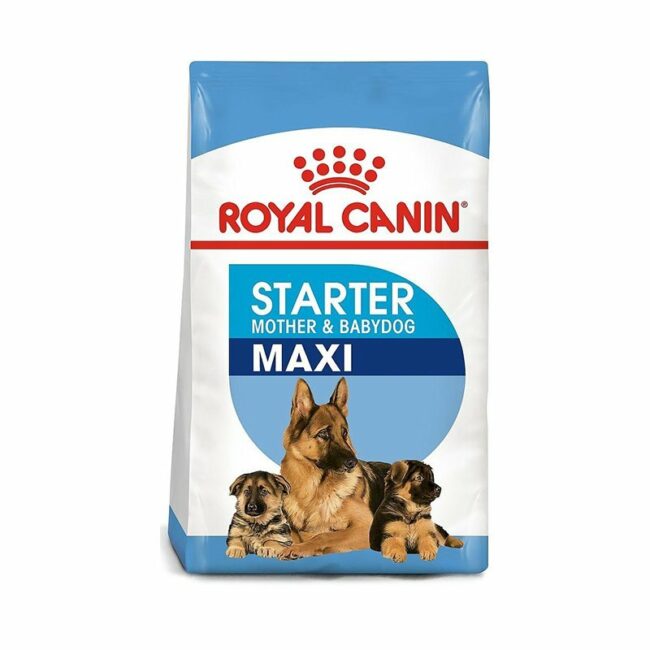 royal canin maxi starter mother babies new