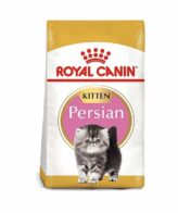 royal canin persian kitten new main