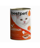 salmon cat