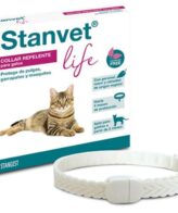 stangest repellent collar for cats 64be31775d1e6