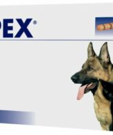 vetplus lypex for pancreatic problems in dogs and cats 64be30dd7260e