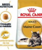 royal canin maine coon 31 651a790153bfb