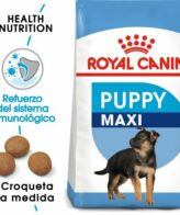 royal canin maxi puppy food for large breed puppies 656608e718874